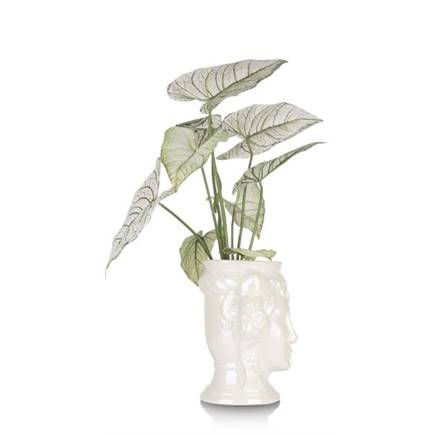 Henders en Hazel Lady vaas H30,5cm