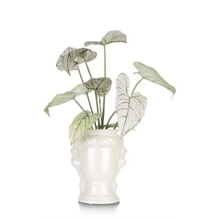 Henders en Hazel Lady vaas H30,5cm