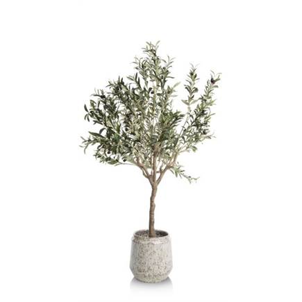 Henders en Hazel Olive Tree H150cm kunstplant