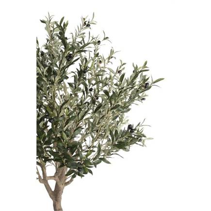 Henders en Hazel Olive Tree H180cm kunstplant