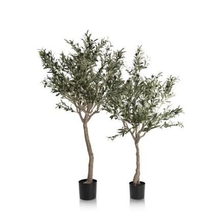 Henders en Hazel Olive Tree H180cm kunstplant