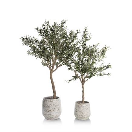 Henders en Hazel Olive Tree H180cm kunstplant