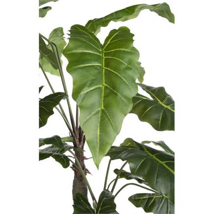 Henders en Hazel Alocasia Giant Tree H180cm kunstplant