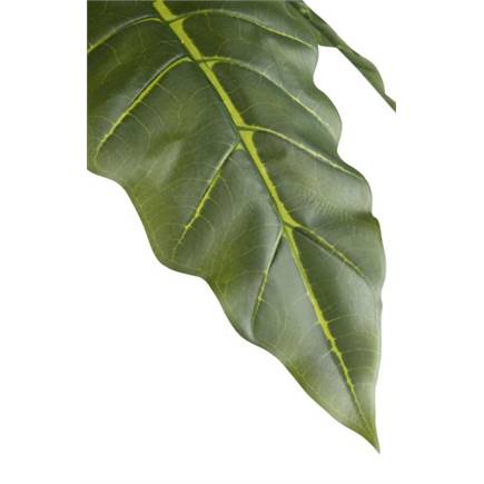 Henders en Hazel Alocasia Giant Tree H180cm kunstplant
