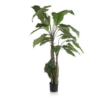 Henders en Hazel Alocasia Giant Tree H180cm kunstplant