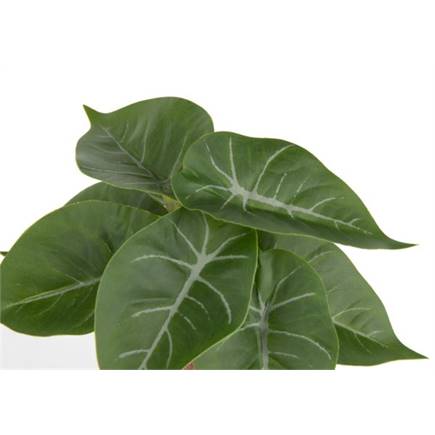 Henders en Hazel Anthurium Mini Bush H13cm kunstbloem