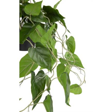 Henders en Hazel Philodendron Scandens H80cm kunstplant