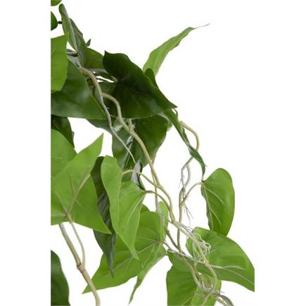 Henders en Hazel Philodendron Scandens H80cm kunstplant