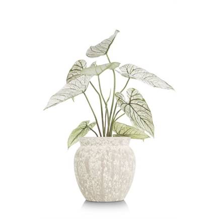 Henders en Hazel Caladium H60cm kunstplant