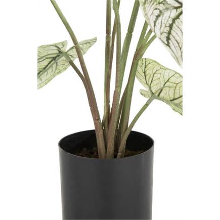Henders en Hazel Caladium H60cm kunstplant