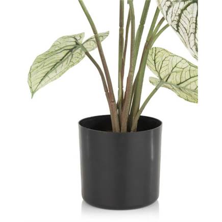 Henders en Hazel Caladium H60cm kunstplant