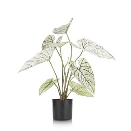 Henders en Hazel Caladium H60cm kunstplant