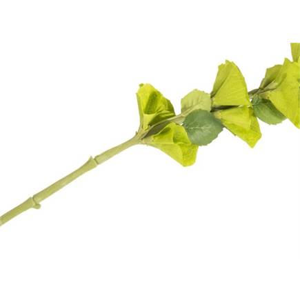 Henders en Hazel Molucella Spray H105cm kunstbloem