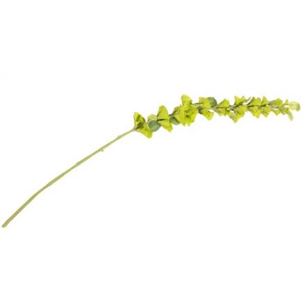 Henders en Hazel Molucella Spray H105cm kunstbloem