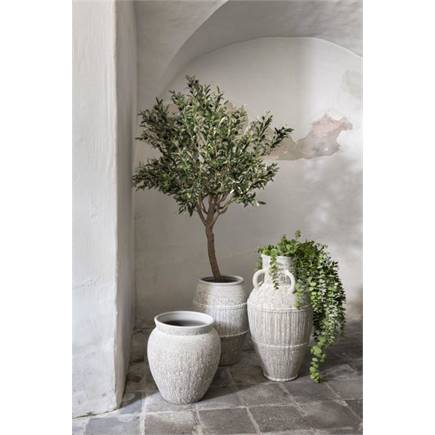 Henders en Hazel Braga pot H50cm