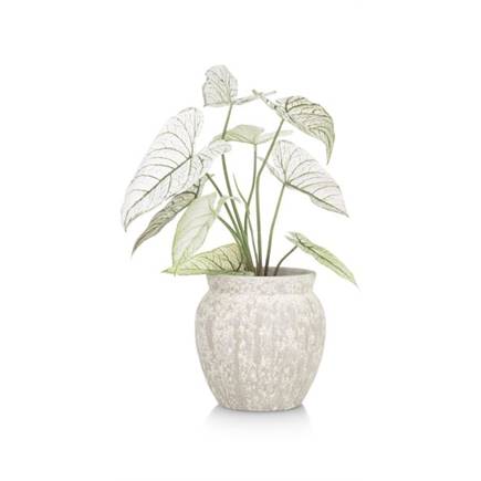 Henders en Hazel Braga pot H25cm