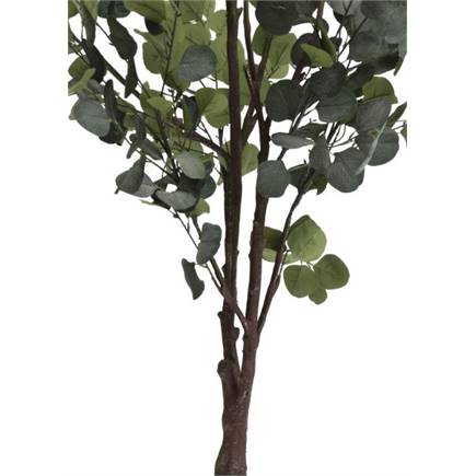 Henders en Hazel Eucalyptus Tree kunstplant H180cm