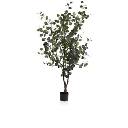 Henders en Hazel Eucalyptus Tree kunstplant H180cm