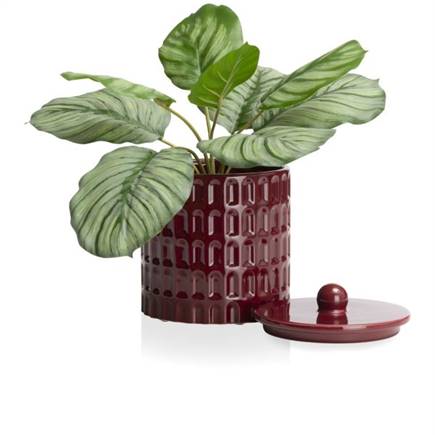 Henders en Hazel Bisko pot H16.5cm