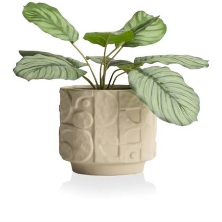 Henders en Hazel Alex pot D18cm