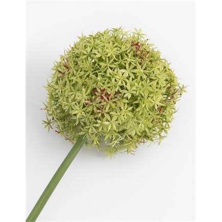 Henders en Hazel Allium spray kunstbloem H90cm