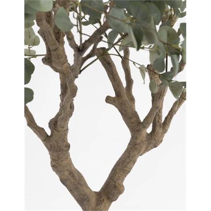 Henders en Hazel Eucalyptus Tree kunstplant H240cm