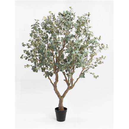 Henders en Hazel Eucalyptus Tree kunstplant H240cm