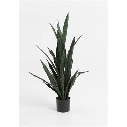Henders en Hazel Sansevieria kunstplant H115cm