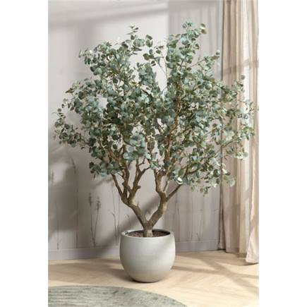 Henders en Hazel Cimino pot H45cm