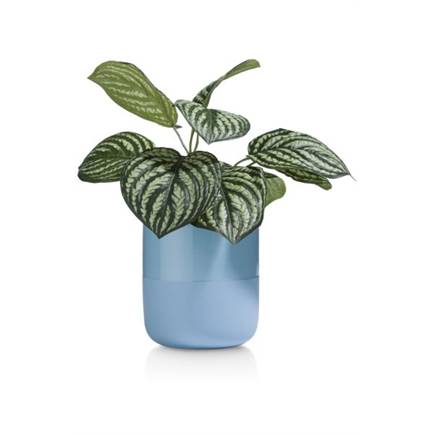 XOOON Peperomia Bush kunstbloem H30cm