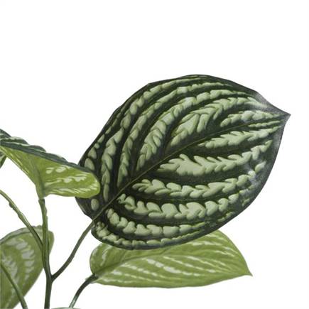 XOOON Peperomia Bush kunstbloem H30cm