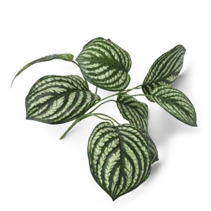 XOOON Peperomia Bush kunstbloem H30cm
