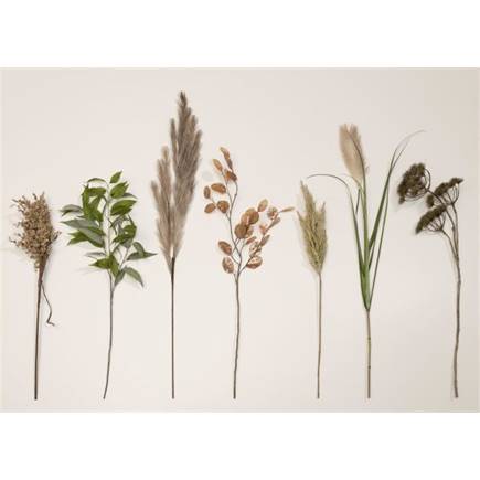 XOOON Pampus Grass kunstbloem H120cm