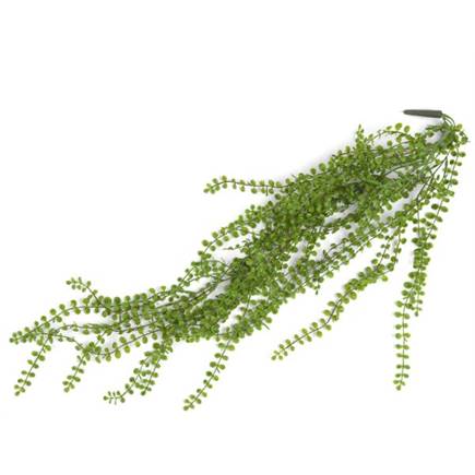 XOOON Ficus Pumila Hanging Bush - 100 cm