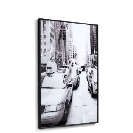 XOOON Lama print 70x100cm