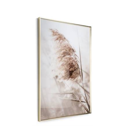 XOOON Breeze A print 70x100cm
