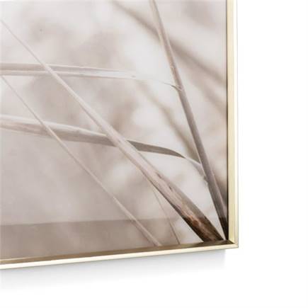 XOOON Breeze A print 70x100cm