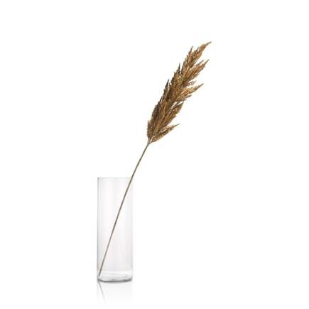 XOOON Pampas Grass Spray H115cm Roest