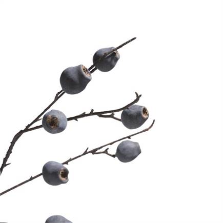 XOOON Dourd berry spray H90cm