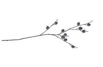 XOOON COCOMAISON  Dourd berry spray H90cm