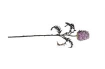 XOOON COCOMAISON  Protea Spray H63cm