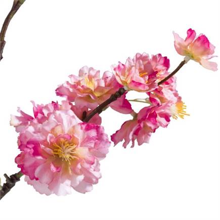 XOOON Cherry blossom spray H120cm