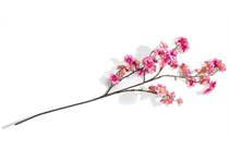 XOOON COCOMAISON  Cherry blossom spray H120cm