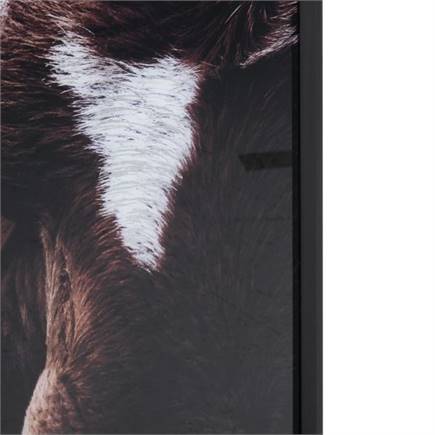 XOOON Rodeo schilderij 120x80cm