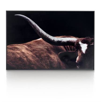 XOOON Rodeo schilderij 120x80cm