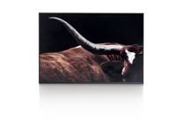 XOOON COCOMAISON wanddecoratie Rodeo schilderij 120x80cm