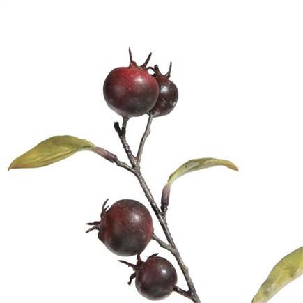XOOON Cornus Berry kunstbloem H100cm