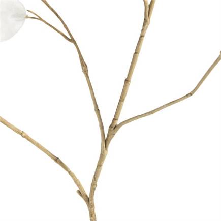 XOOON Lunaria kunstbloem H92cm