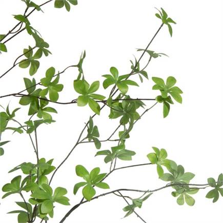 XOOON Tropaeolum kunstplant H210cm