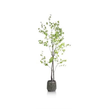 XOOON Tropaeolum kunstplant H210cm